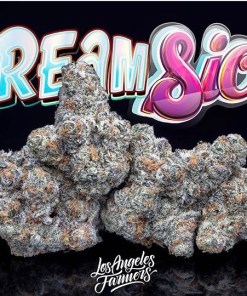 jungle boys creamside jungle boys creamside