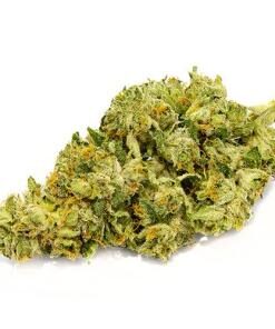 Gorilla Glue #4 Strain