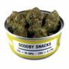 Space Monkey Scooby Snacks