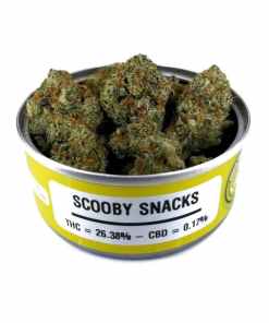 Space Monkey Scooby Snacks Space Monkey Scooby Snacks
