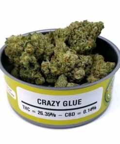 Crazy Glue
