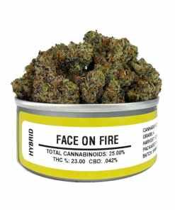Space Monkey Face on fire strain