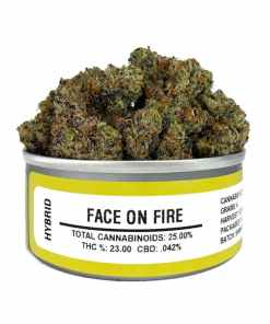 Space Monkey Face on fire strain Space Monkey Face on fire strain