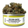 Space Monkey Golden Gatez