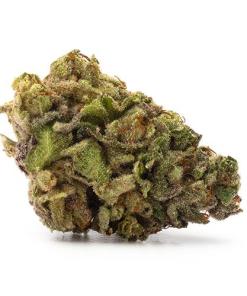 Alaskan Thunder Strain Alaskan Thunder Strain