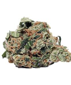 Chemdawg Strain