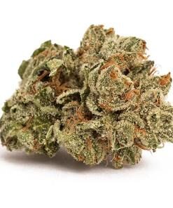 Deadhead OG Strain