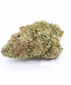 Girl Scout Cookies Strain