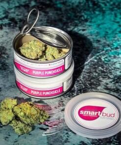 Purple Punchsicle SmartBud Cans