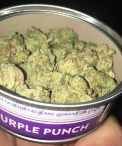 Purple Punch SmartBud