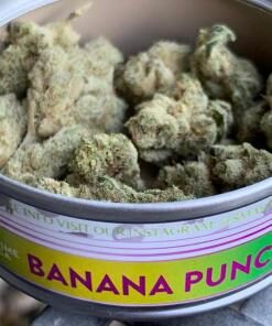 Banana Punch SmartBud