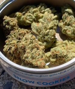 Snow Cookies SmartBud