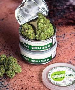 Gorilla Glue #4 SmartBud Gorilla Glue #4 SmartBud