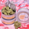 Crack Og SmartBud