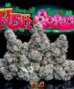 Kush-Sorbet-Jungleboys-600x536-1 Jungle Boys Kush Sorbet