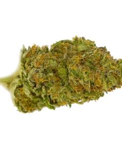 Lemon G Strain Lemon G Strain