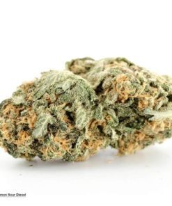 Lemon Sour Diesel Strain