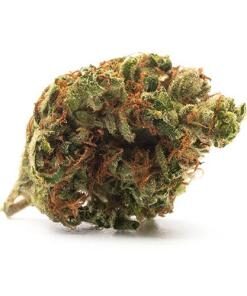 Strawberry Banana Strain