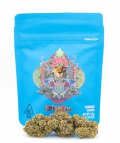 Cheetah Piss Cookies Cheetah Piss Cookies