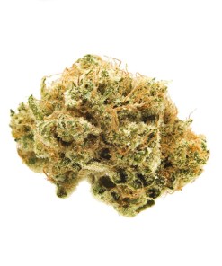 Banana Kush Strain Banana Kush Strain