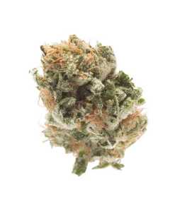 Godfather OG Strain Godfather OG Strain