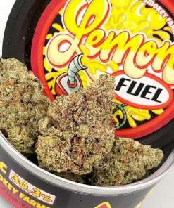 Space Monkey Meds Lemon Twist Space Monkey Meds Lemon Twist