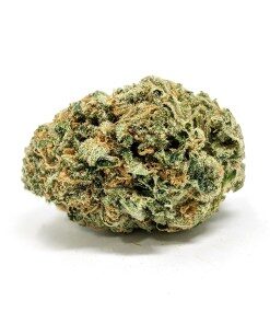 Pre-98 Bubba Kush Strain