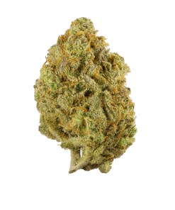 Super Lemon Haze Strain Super Lemon Haze Strain